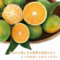 みかんさん専用 61-8664-01 ラベルネット 胴ラベル 8025 みかんS 1パック（5000
