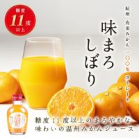 有田みかんを使用した国産フルーツジュースの定期購入