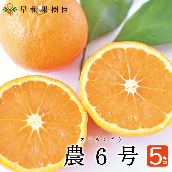 000000000272-01-xs.jpg?t=