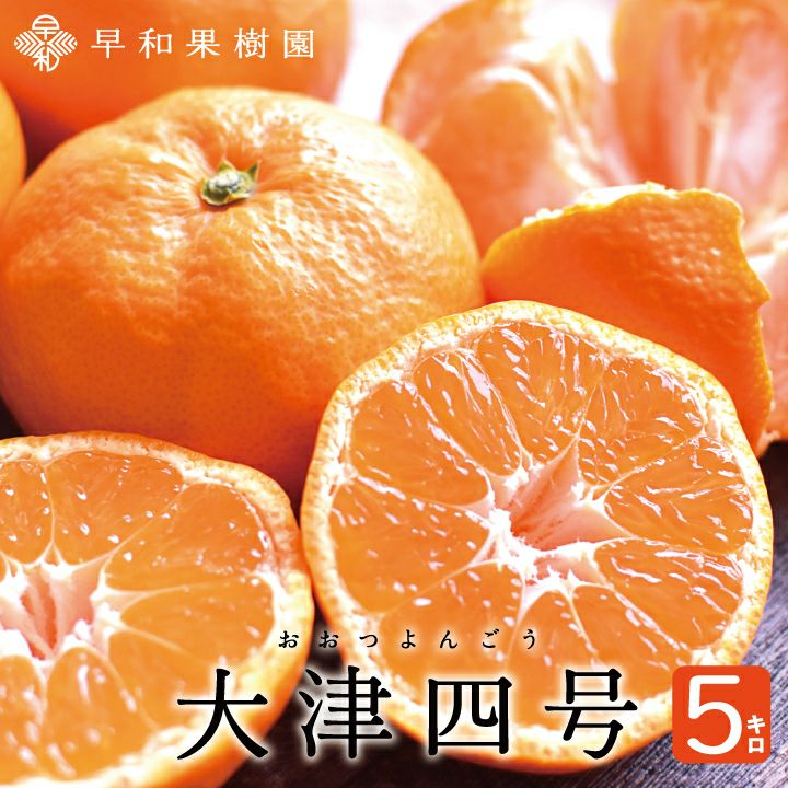 みかん＾＾ 大津四号みかん｜高糖度でまろやかな味わいの特選有田みかん