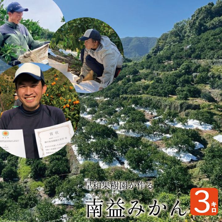 早和果樹園が作る「南益みかん」　3kg【送料無料】