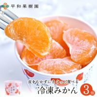 000000000321-01-xs.jpg?t=